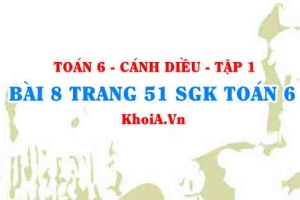 Bài 8 trang 51 SGK Toán 6 tập 1 Cánh Diều